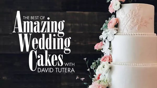 The Best of Amazing Wedding